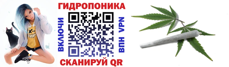 Купить наркотик Разумное ГАШИШ  Alpha-PVP  МДМА  MEGA как зайти  МЕФ 