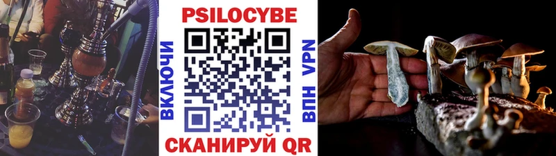 сколько стоит  Разумное  omg ссылка  Псилоцибиновые грибы GOLDEN TEACHER 