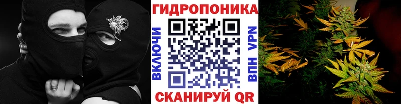 Бошки марихуана SATIVA & INDICA  Разумное 